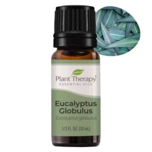 Prírodný esenciálny olej Eukalyptus na dýchanie a dýchacie cesty